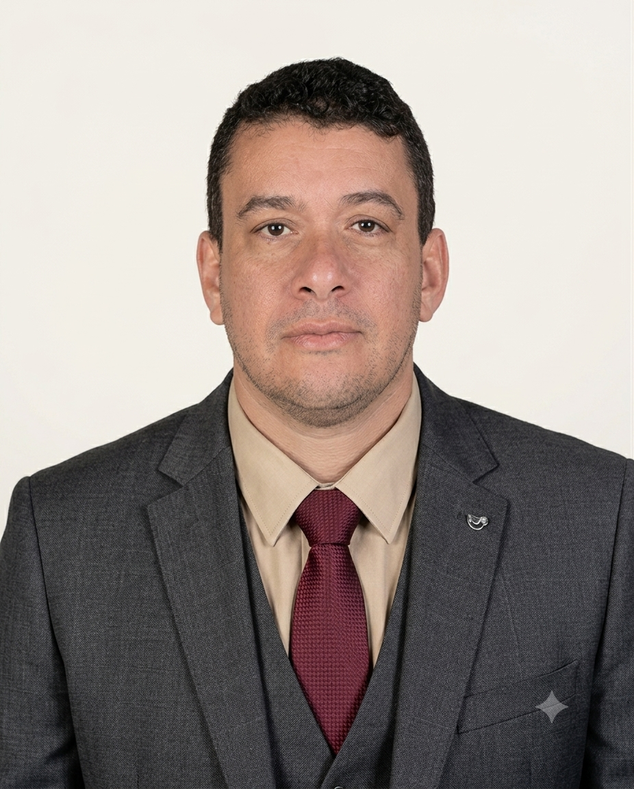 Ibrahim Mohamed El-Sayed Ali